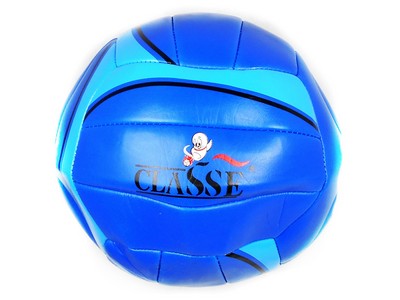 Мяч волейбольный 22 см C148