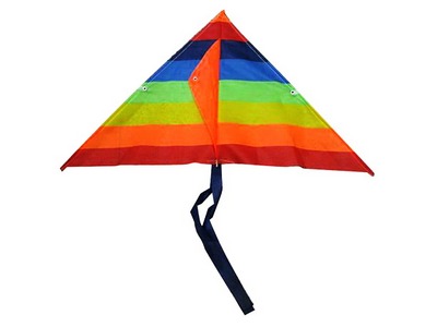 Воздушный змей XD113