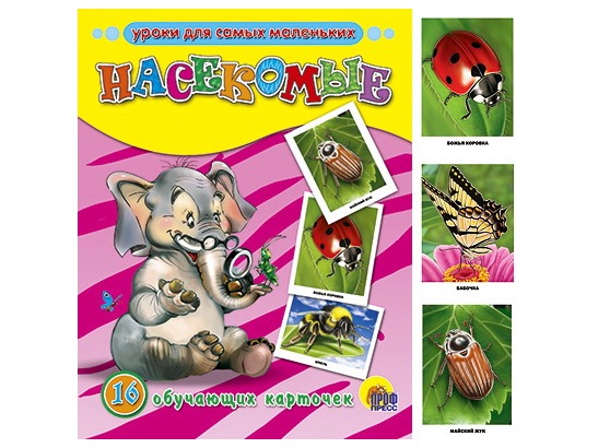 ОБУЧАЮЩИЕ КАРТОЧКИ. НАСЕКОМЫЕ