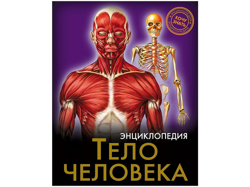 ЭНЦИКЛОПЕДИЯ. ХОЧУ ЗНАТЬ. ТЕЛО ЧЕЛОВЕКА
