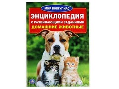 ЭНЦИКЛОПЕДИЯ А4. ДОМАШНИЕ ЖИВОТНЫЕ (С РАЗВИВАЮЩИМИ ЗАДАНИЯМИ) брошюра