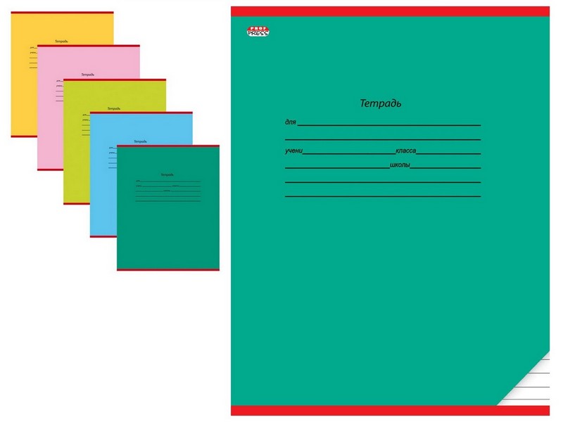 Купить оптом Тетрадь ЛИНИЯ 12л. КЛАССИКА ТЕМНОЗЕЛЕНАЯ (цвет.мелов.обл.) 1 дизайн в Луганске