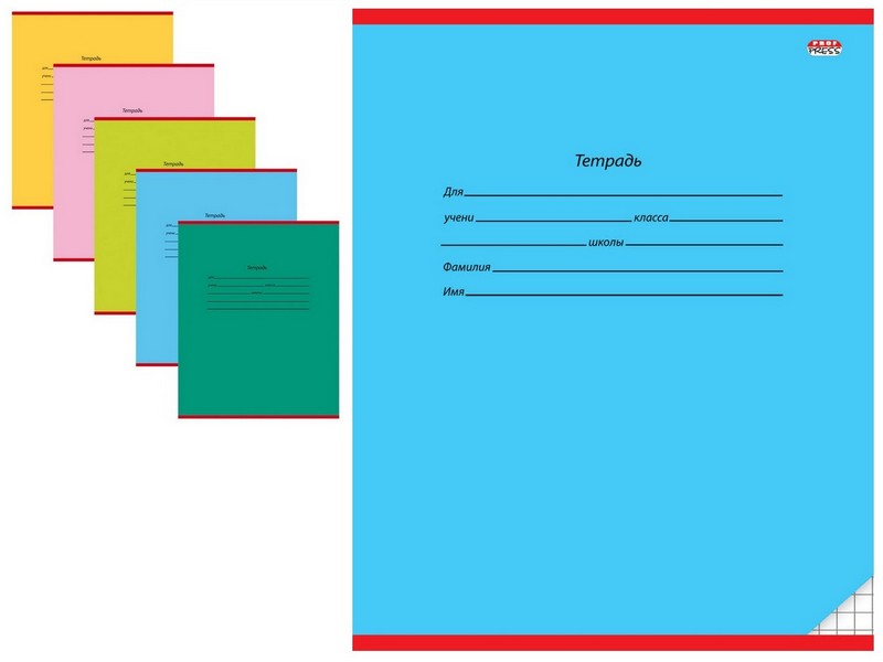 Тетрадь КЛЕТКА 12л. КЛАССИКА ГОЛУБАЯ (цвет.мелов.обл.)