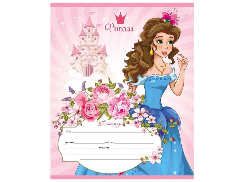 Тетрадь ЛИНИЯ 12л. ПРИНЦЕССЫ (цвет. мелов. обл.,5 диз)