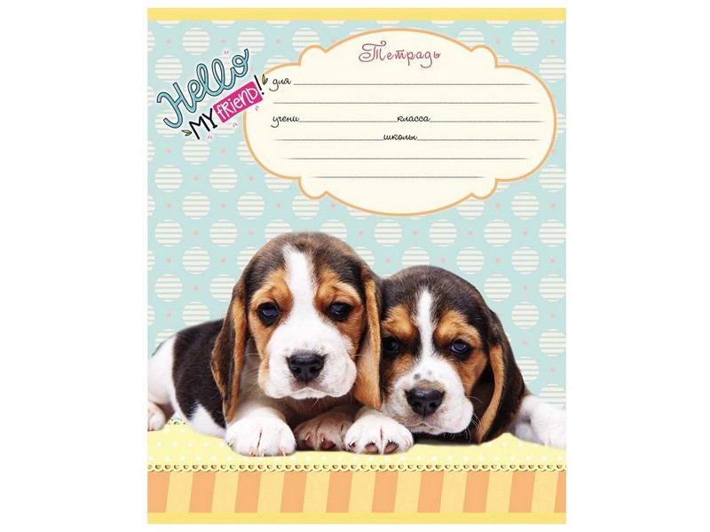 Тетрадь ЛИНИЯ 12л. ЩЕНКИ (цвет. мелов. обл.) 5 дизайнов