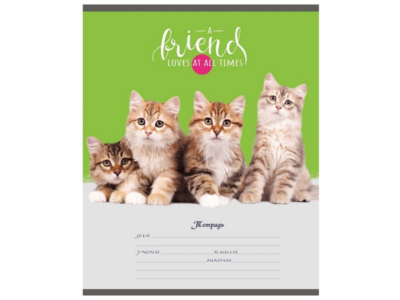 Тетрадь ЛИНИЯ 18л. КОТЯТА (цвет. мелов. обл.)