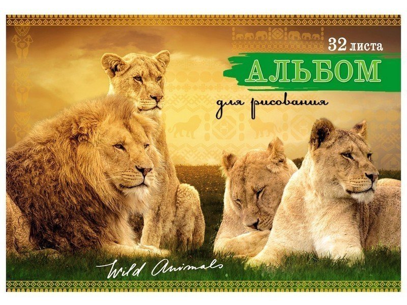 Альбом для рисования А4 32л ПРЕКРАСНЫЕ ЛЬВЫ (КБС, обл. картон хромэр, блок офсет)