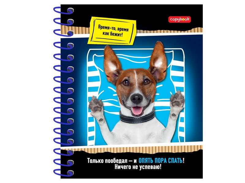 Тетрадь КЛЕТКА А5 96л. ЖИВОТНЫЕ И ЗАРИСОВКИ (спираль, цвет. мелов. обл.)