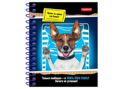 Тетрадь КЛЕТКА А5 96л. ЖИВОТНЫЕ И ЗАРИСОВКИ (спираль, цвет. мелов. обл.)