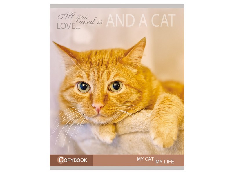 Тетрадь ЛИНИЯ 48л. КОТЫ-2 (обл. цвет. мелов.)