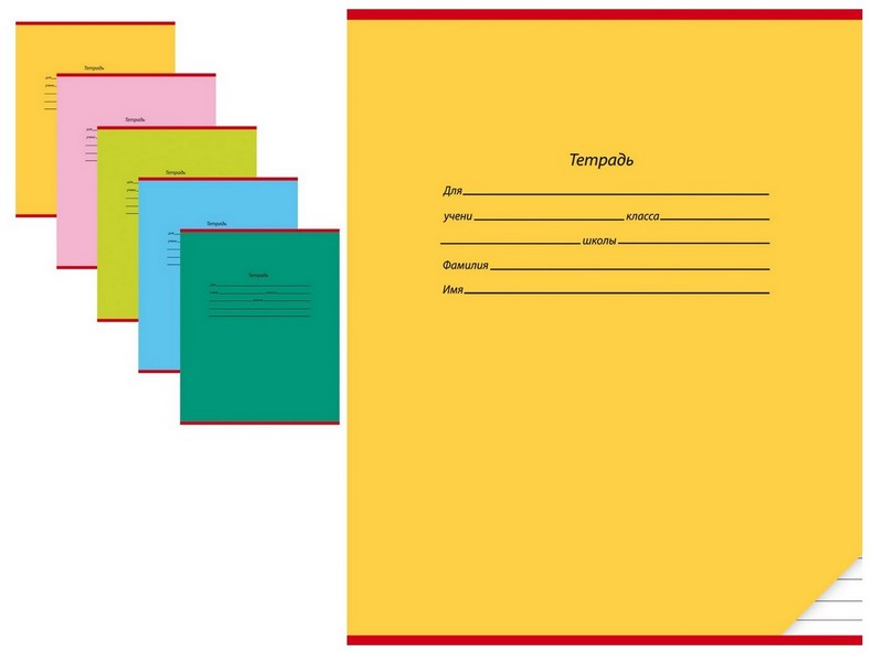 Тетрадь КОСАЯ ЛИНИЯ 12л. КЛАССИКА (ТЕМНО-ЗЕЛЕНАЯ) цвет.мелов.обл.,1 дизайн в спайке (12-9173)