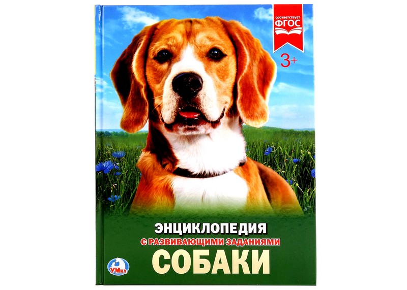 ЭНЦИКЛОПЕДИЯ А4. СОБАКИ (С РАЗВИВАЮЩИМИ ЗАДАНИЯМИ)