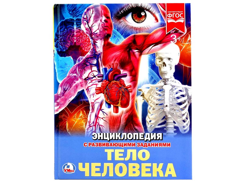 Купить оптом ЭНЦИКЛОПЕДИЯ А4. ТЕЛО ЧЕЛОВЕКА (С РАЗВИВАЮЩИМИ ЗАДАНИЯМИ) в Луганске