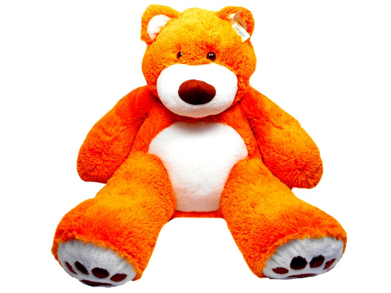 Мишка Потап 2018/12/1