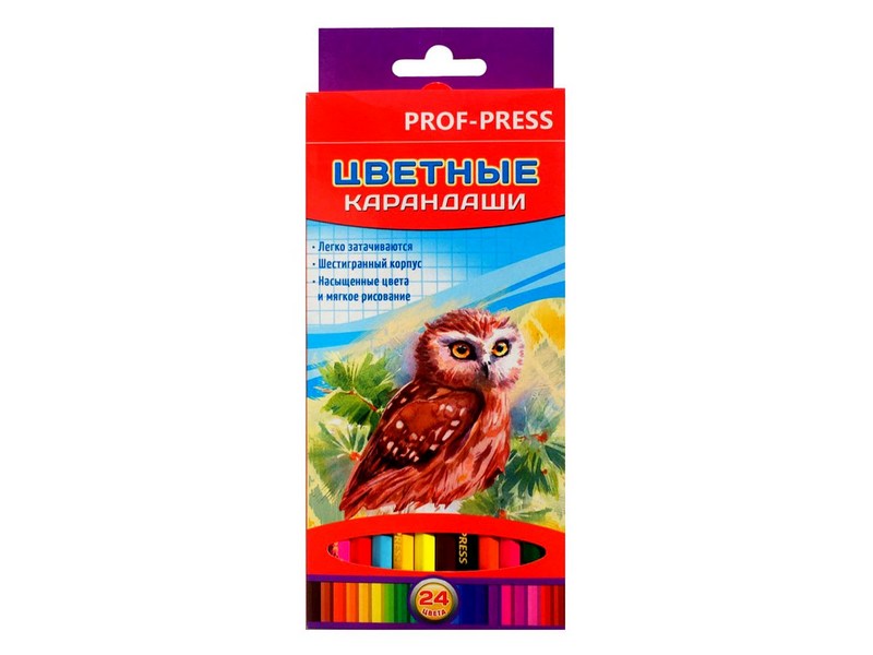 Карандаши цветные 24цв. СОВУШКА d=2,8мм К-7281