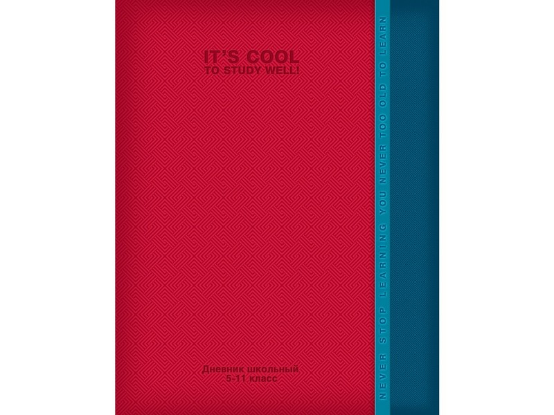 Дневник школьный 48л. СТИЛЬНЫЙ УЗОР (5-11 кл., глянцевая ламинация, 7БЦ)