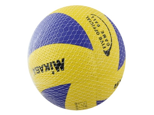 Мяч волейбольный в сетке CQQ09