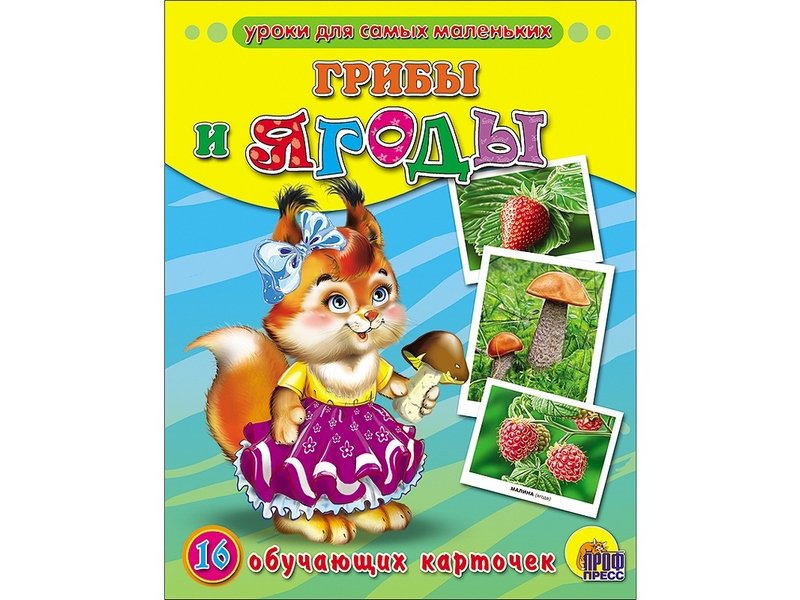 ОБУЧАЮЩИЕ КАРТОЧКИ. ГРИБЫ И ЯГОДЫ