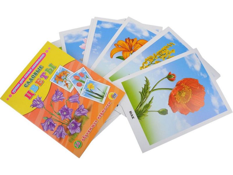 ОБУЧАЮЩИЕ КАРТОЧКИ. САДОВЫЕ ЦВЕТЫ