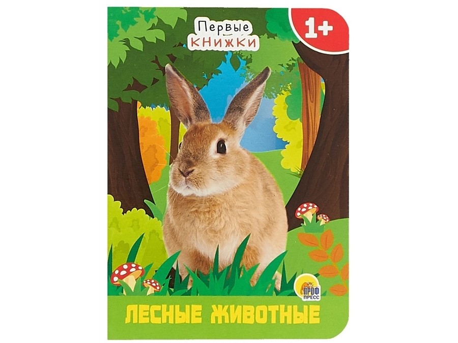 ЦК МИНИ. ЛЕСНЫЕ ЖИВОТНЫЕ