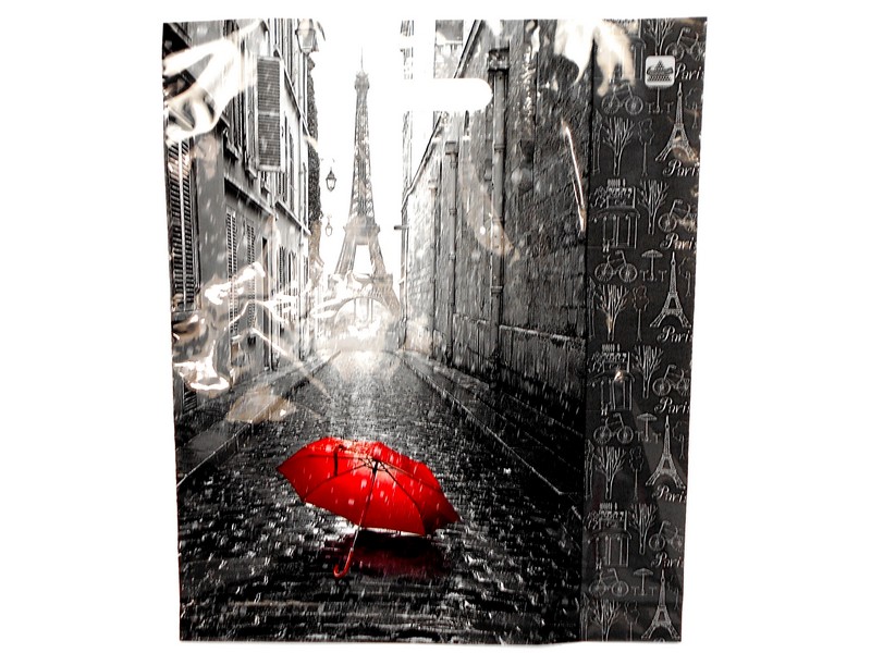 Пакет полиэтиленовый вырубной "МОЙ ПАРИЖ" 45*38см