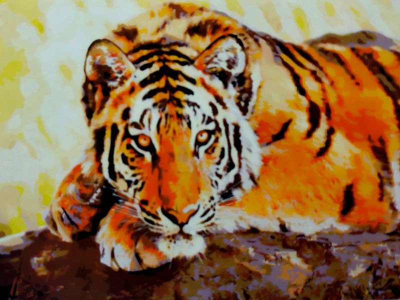 Холст с красками 40х50 см по номерам. ЗАДУМЧИВЫЙ ТИГР