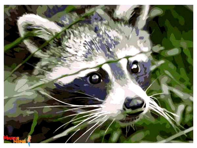 Холст с красками 22х30 см по номерам. ЕНОТИК