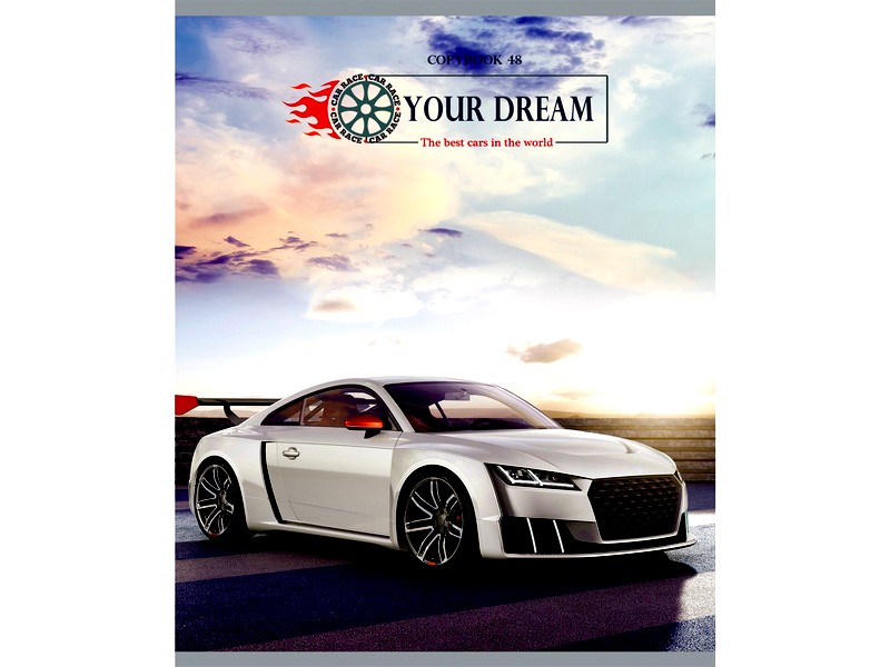 Тетрадь ЛИНИЯ 48л. МАШИНЫ И ПЕЙЗАЖИ (обл. карт. хром., второй блок)