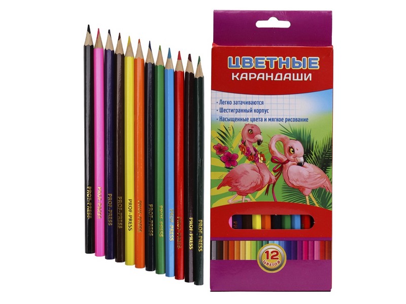 Карандаши цветные 12цв."ФЛАМИНГО" d=2,8мм в кор. К-7026