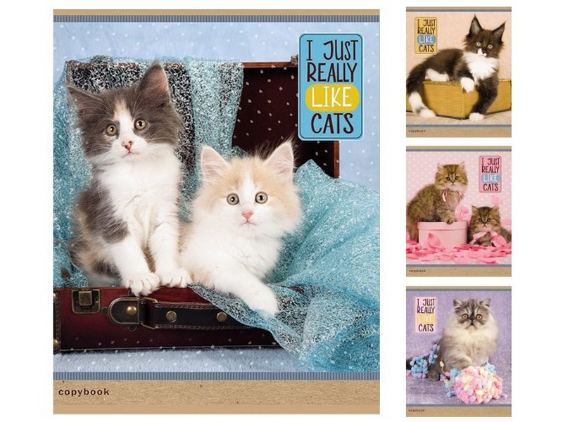 Тетрадь КЛЕТКА 36л. ОЧАРОВАТЕЛЬНЫЕ КОТЯТА (обл. мел. картон)