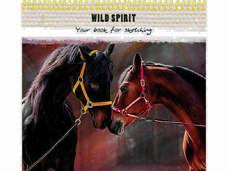 Скетчбук А6 40л. ВЛЮБЛЕННЫЕ ЛОШАДИ (спираль, картон) 40-1365