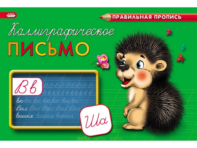 Пропись А5 8л. альбомная КАЛЛИГРАФИЧЕСКОЕ ПИСЬМО (цвет. мелов. обл.) ПР-3000