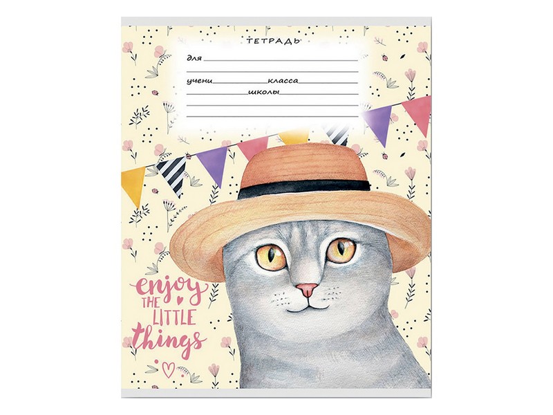 Тетрадь КОСАЯ ЛИНИЯ 12л. РИСОВАННЫЕ КОТИКИ (цвет. мелов. обл.)
