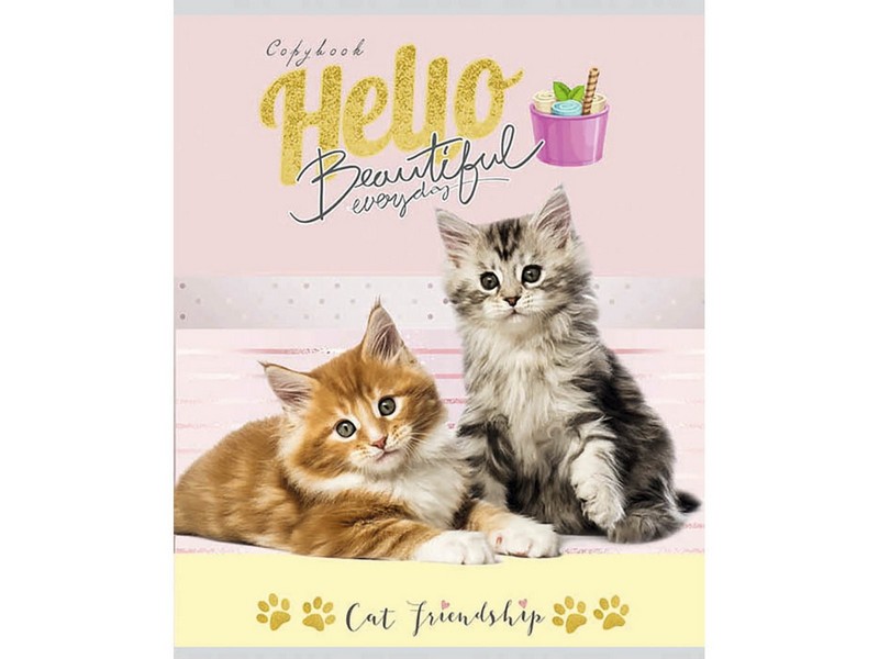 Тетрадь КЛЕТКА 96л. ДВА КОТЁНКА (цвет. мелов. обл., глиттер)