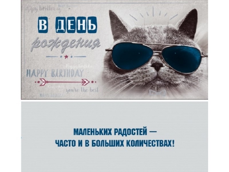 Конверт для денег «В день рождения» (кот в очках) Ф-0020