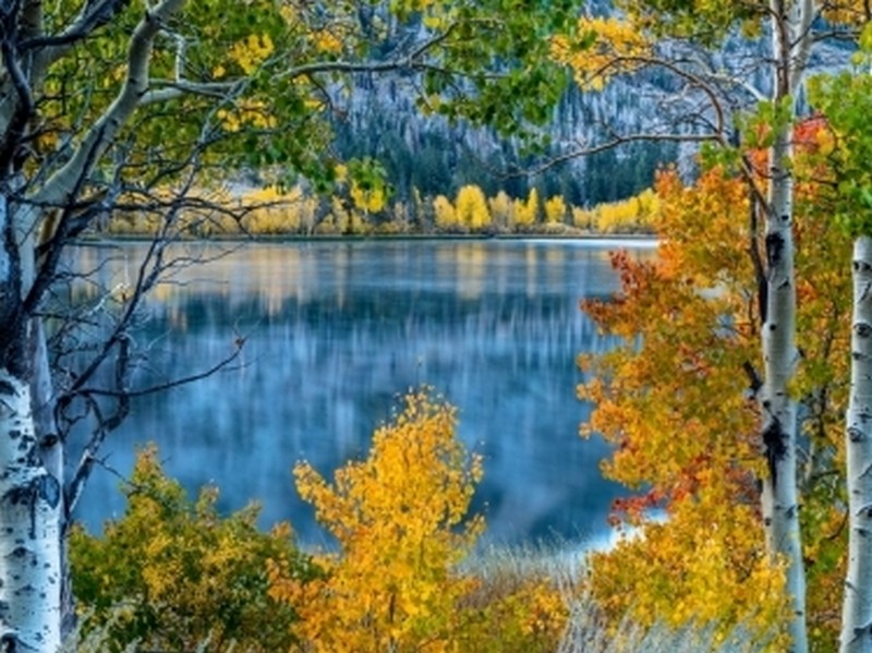 Холст с красками 40х50 см по номерам. ЗЕРКАЛЬНОЕ ОЗЕРО В ЛЕСУ