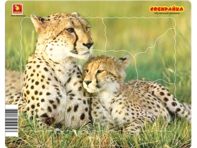 Собирайка малая фото "Леопарды"