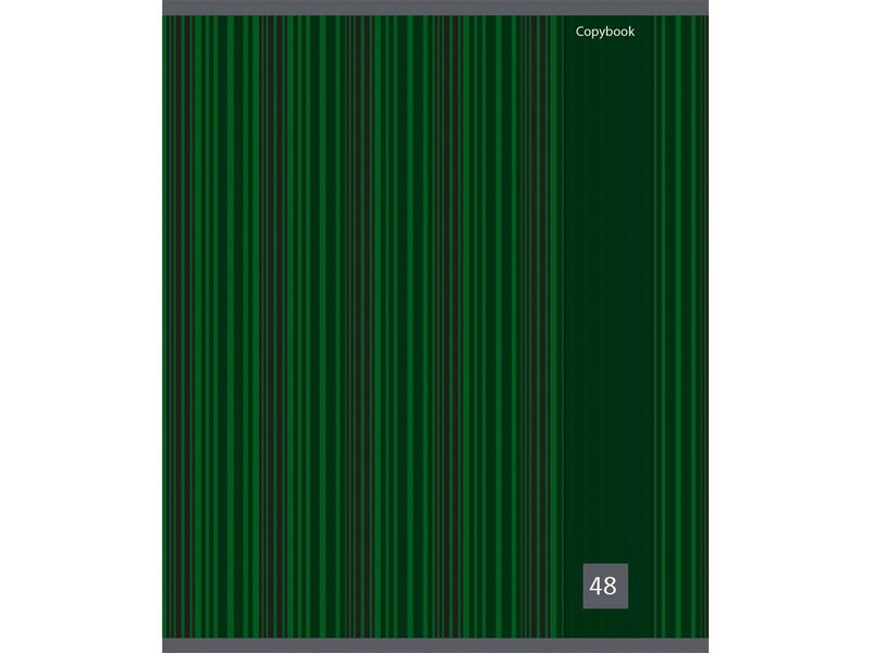 Тетрадь КЛЕТКА 48л. КЛАССИКА (ВЕРТИК. ЛИНИЯ) (цвет. мелов. обл.)