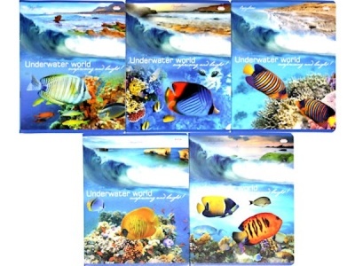 Тетрадь КЛЕТКА 48л. МОРСКИЕ РЫБКИ (цвет. мелов. обл.)