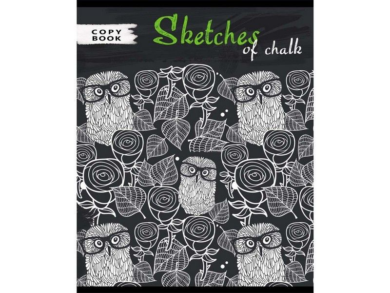 Тетрадь КЛЕТКА 96л. ЗАРИСОВКИ МЕЛОМ (цвет. мелов. обл.)