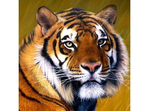 Алмазная мозаика (20х20см, c подр., с полн. заполн., класс., 24цв.) AC20082