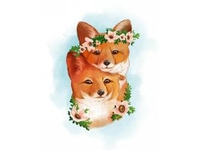 Холст с красками 22х30 см по номерам МИЛЫЕ ЛИСЫ (HS162)