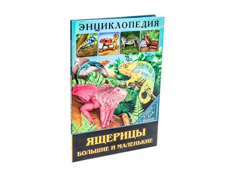 ЭНЦИКЛОПЕДИЯ. В МИРЕ ЗНАНИЙ. ЯЩЕРИЦЫ БОЛЬШИЕ И МАЛЕНЬКИЕ