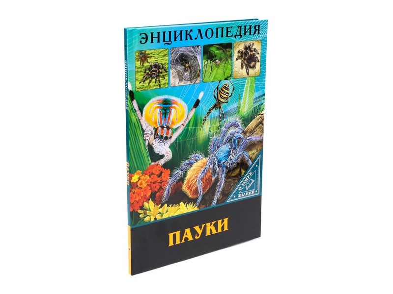 ЭНЦИКЛОПЕДИЯ. В МИРЕ ЗНАНИЙ. ПАУКИ