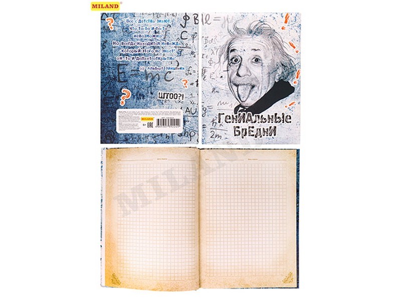 Записная книжка А5 128л клетка ГЕНИАЛЬНЫЕ БРЕДНИ (поролон, мат. лам.)