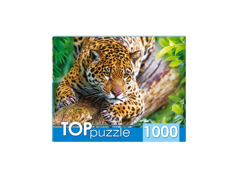 TOPpuzzle ПАЗЛЫ 1000 элементов. ГРАЦИОЗНЫЙ ЛЕОПАРД НА ДЕРЕВЕ