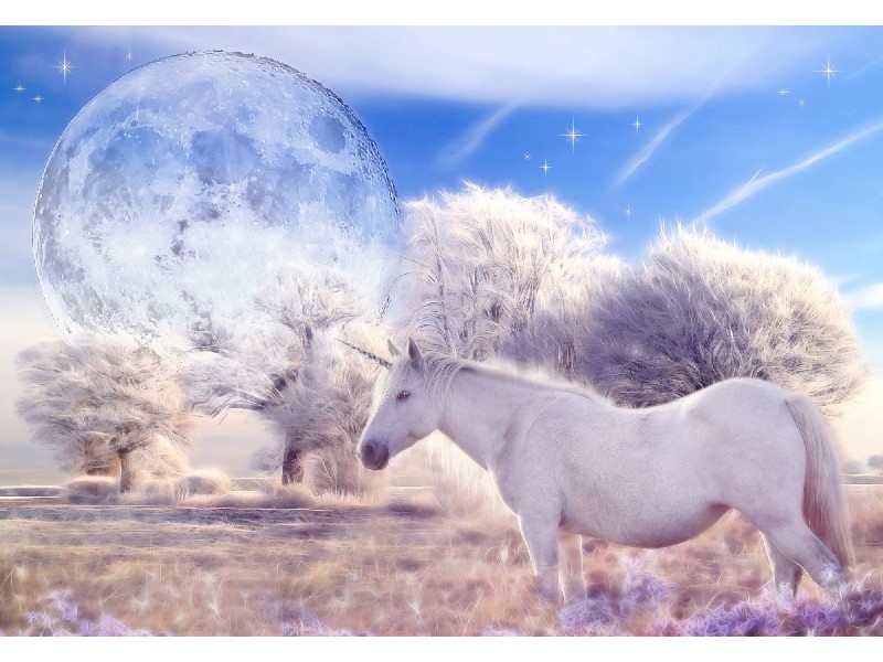 Холст с красками 40х50 см по номерам. ВОЛШЕБНЫЙ МИР