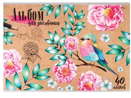 Альбом для рисования А4 40л. НАРИСОВАННАЯ ПТИЧКА (скрепка, офсет) 40-5314