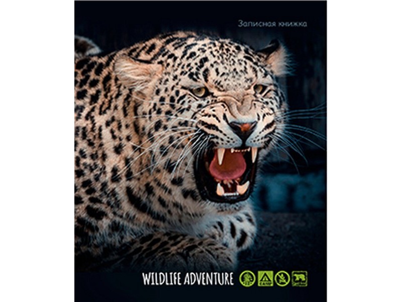 ЗАПИСНАЯ КНИЖКА А6 80л. ЯРОСТНЫЙ ЛЕОПАРД (спираль) 80-0703