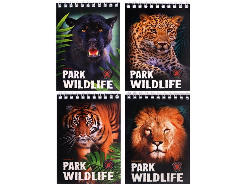 БЛОКНОТ А6 40л. клетка ДИКИЕ КОТЫ-1 (гребень, цвет. мелов. обл., офсет) Б40-0253